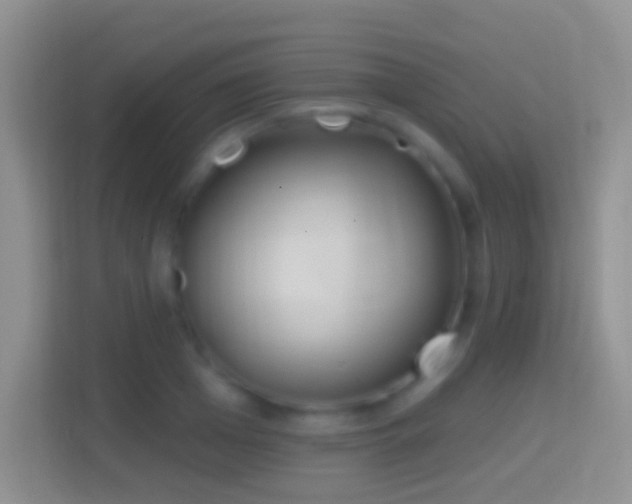 X0000114440985200910231315