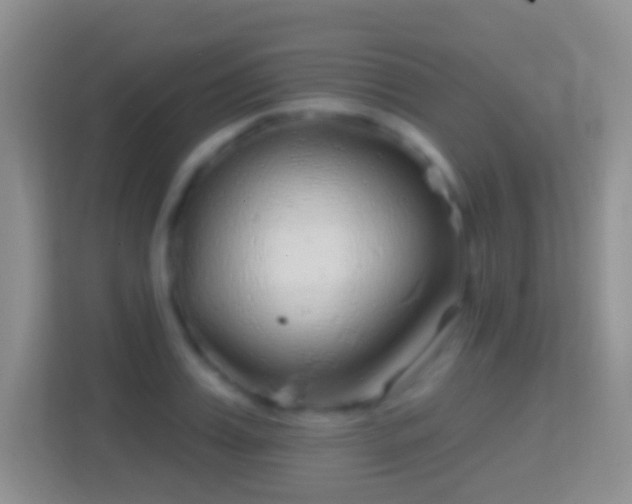 X0000114440987200910231315