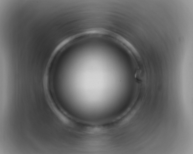 X0000114440991200910231314