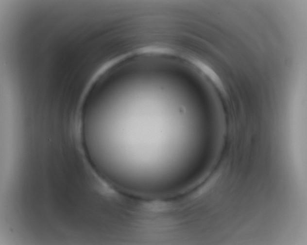 X0000114440992200910231314