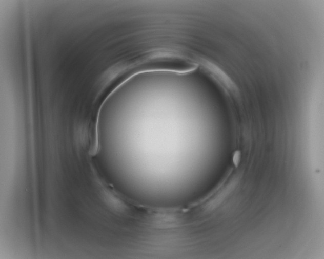 X0000114440993200910231314