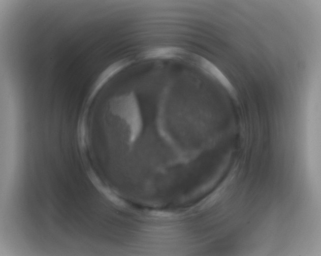 X0000114440994200910231314