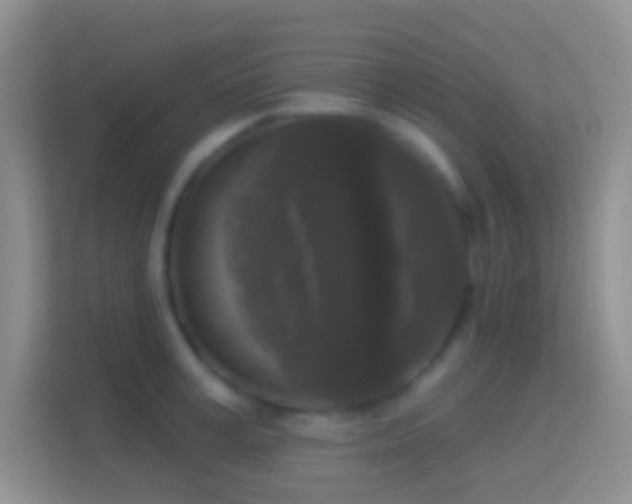 X0000114440995200910231314