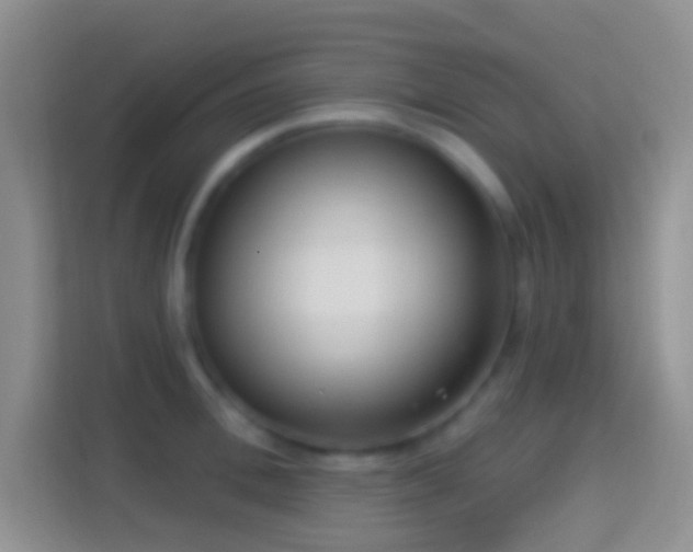 X0000114440996200910231314