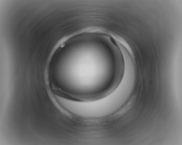 X0000114440997200910231314