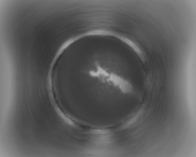 X0000114440998200910231314