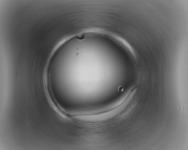 X0000114440999200910231314