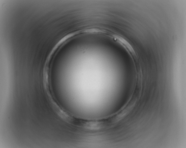 X0000114441000200910231314