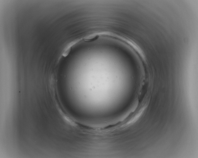 X0000114441001200910231314