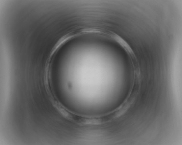 X0000114441002200910231314