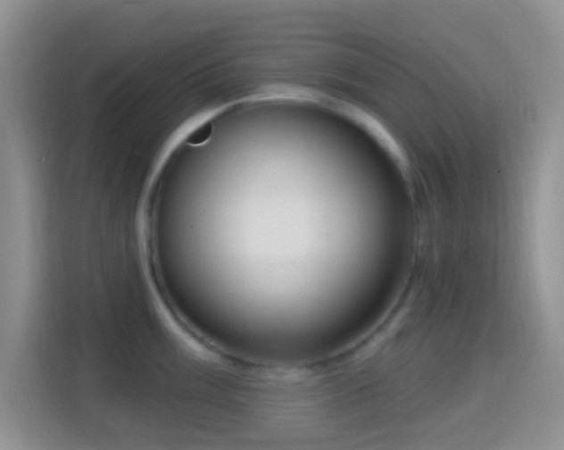 X0000114441003200910231314