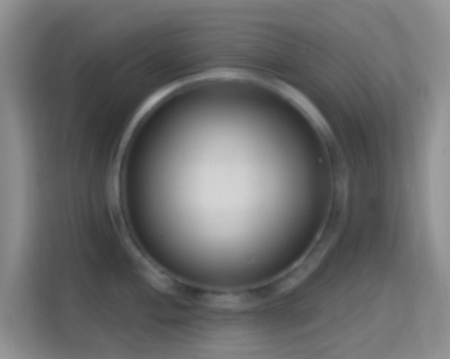 X0000114441004200910231314