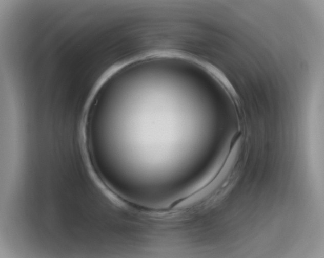 X0000114441005200910231314