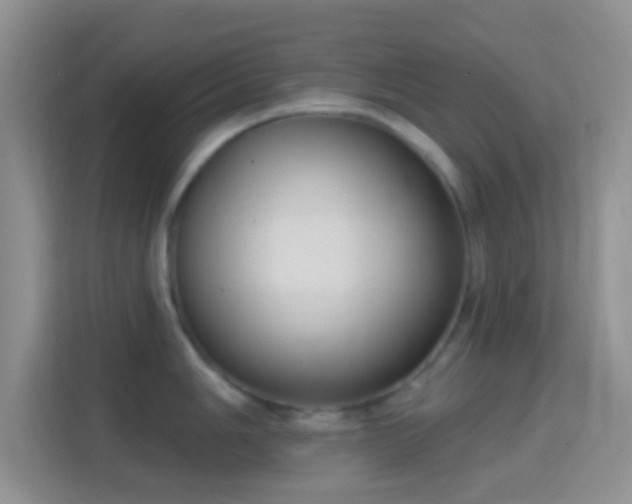 X0000114441006200910231314