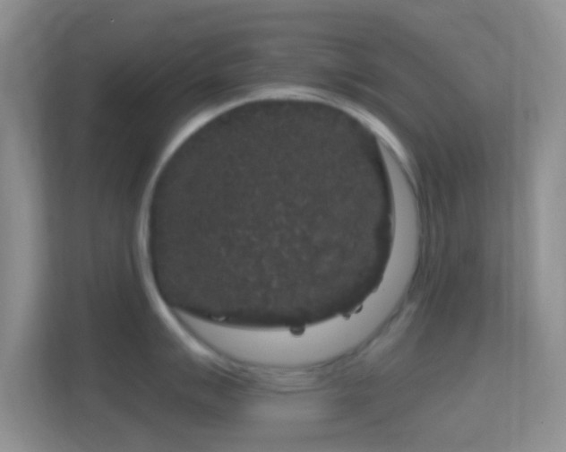 X0000114441007200910231314