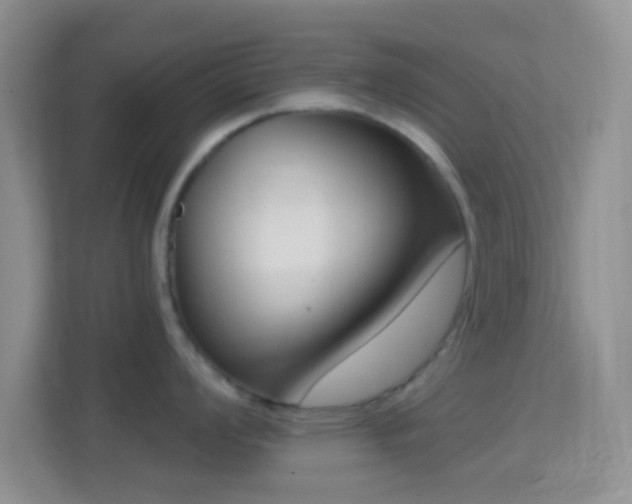 X0000114441008200910231314