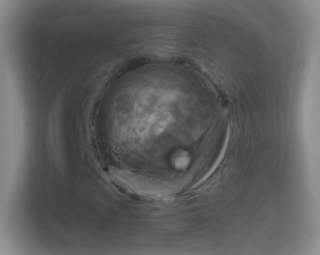 X0000114441009200910231314