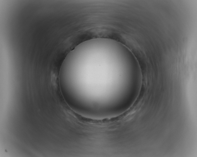 X0000114441010200910231314