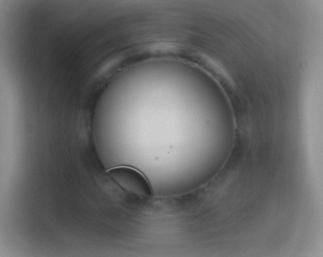 X0000114441015200910231314