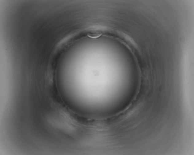 X0000114441016200910231314