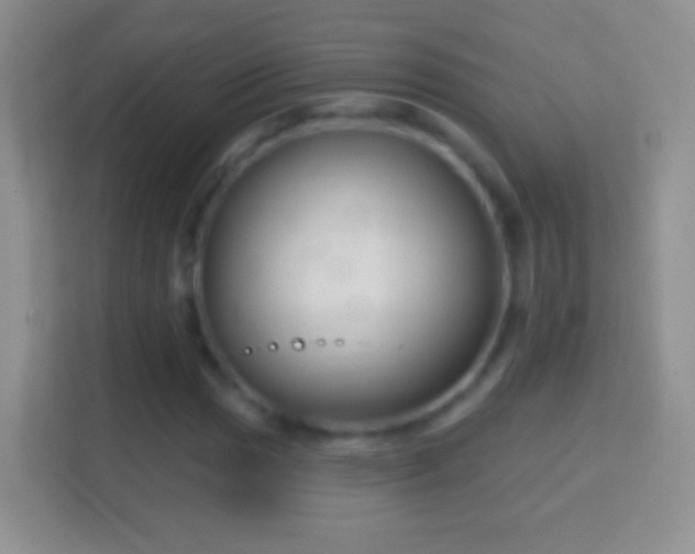 X0000114441017200910231314