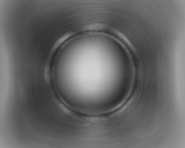 X0000114441018200910231314