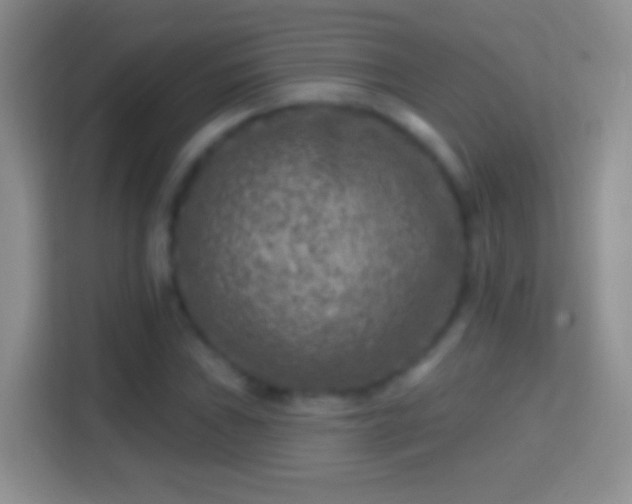 X0000114441019200910231314