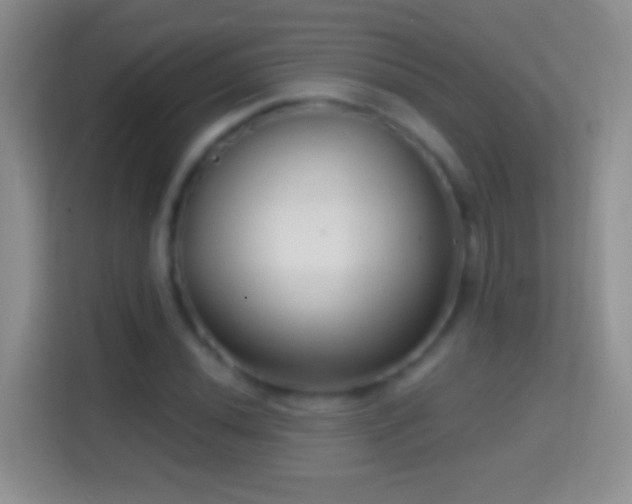 X0000114441020200910231314