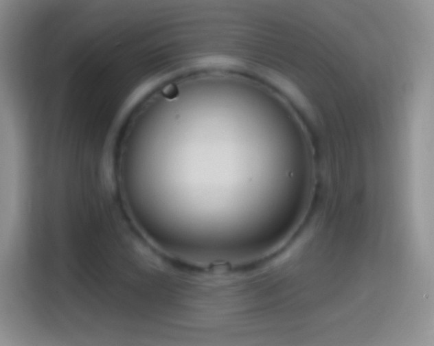 X0000114441022200910231314