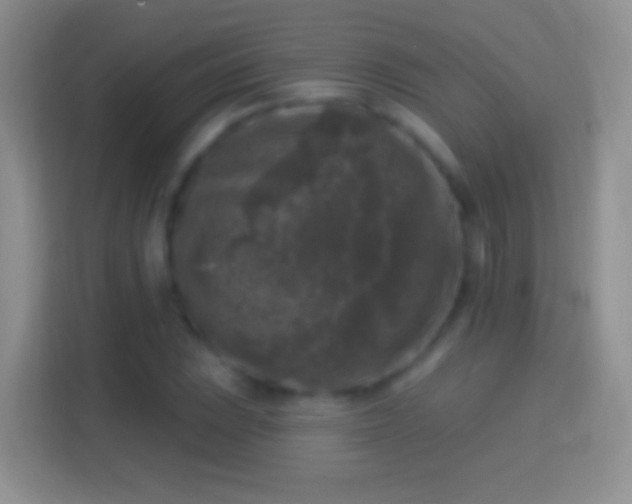 X0000114441023200910231314