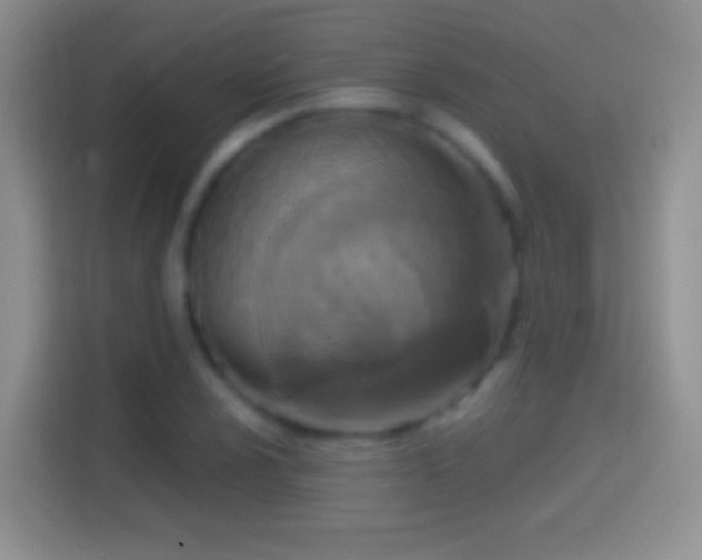 X0000114441024200910231314