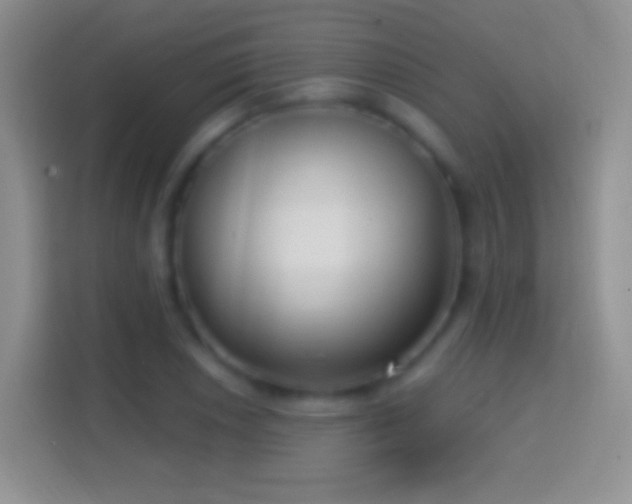 X0000114441026200910231314