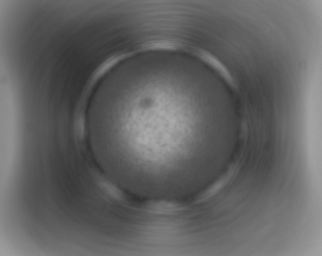 X0000114441027200910231314