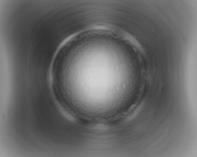 X0000114441028200910231314