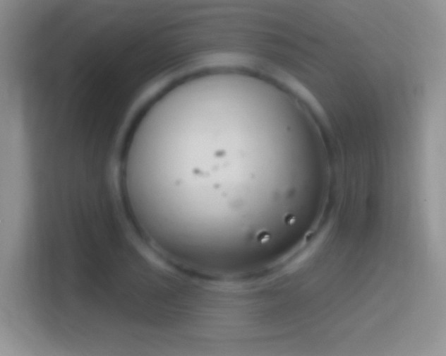 X0000114441029200910231314