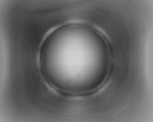 X0000114441030200910231314