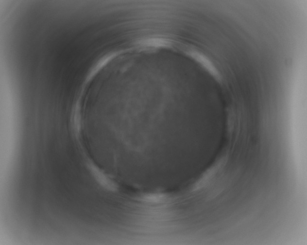 X0000114441031200910231314