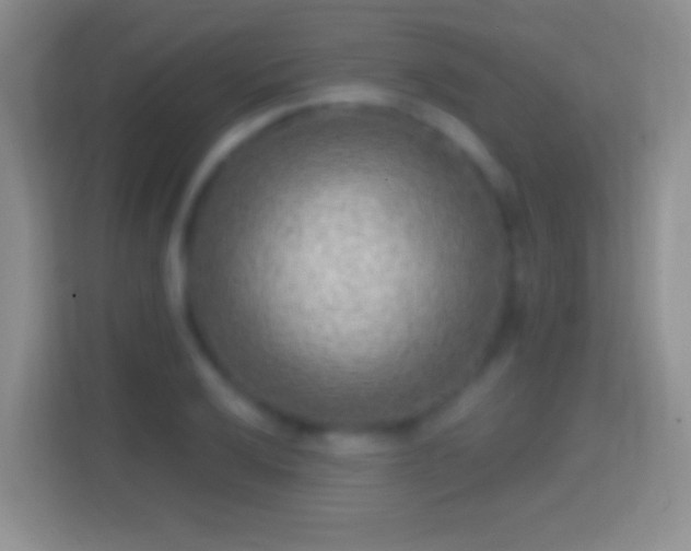 X0000114441032200910231314