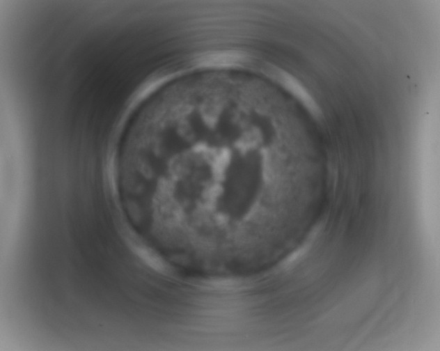 X0000114441035200910231314