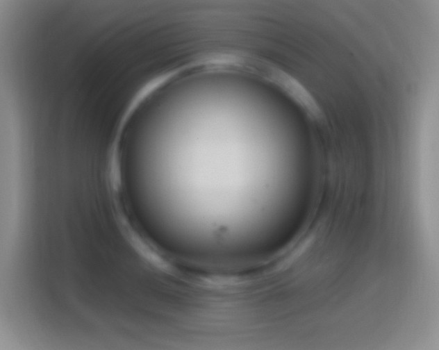 X0000114441036200910231314