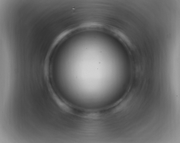 X0000114441038200910231314