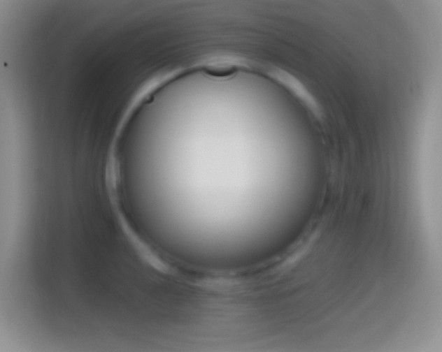 X0000114441040200910231314