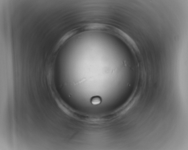 X0000114441041200910231314