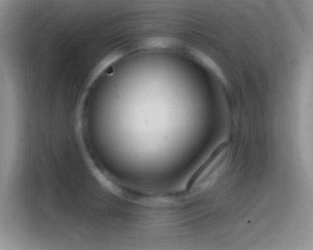 X0000114441042200910231314