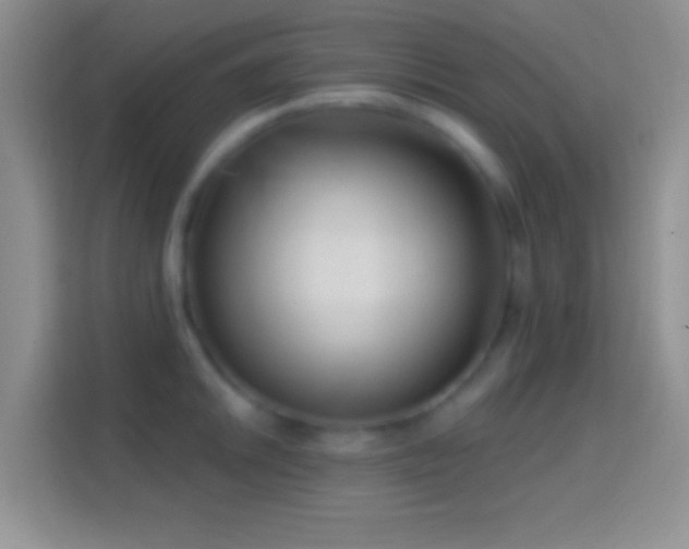 X0000114441046200910231314