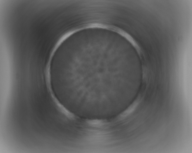 X0000114441048200910231314