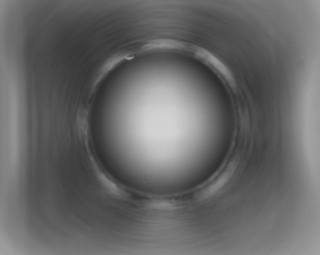 X0000114441049200910231314