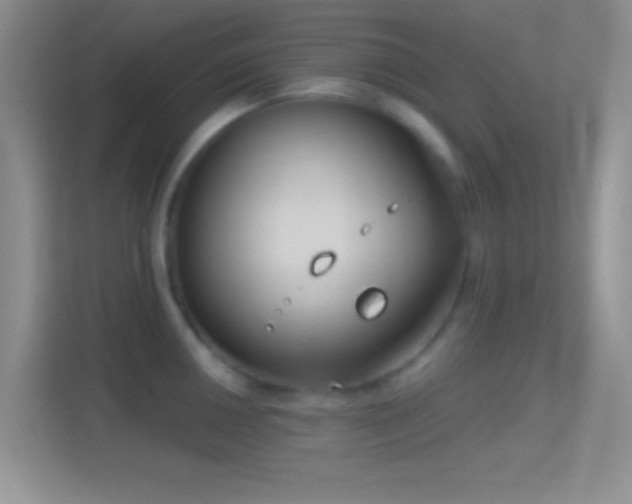 X0000114441050200910231314