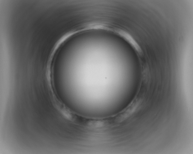 X0000114441051200910231314