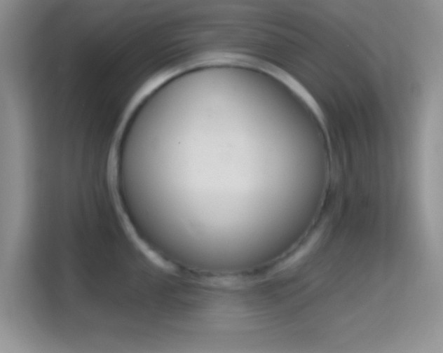 X0000114441053200910231314